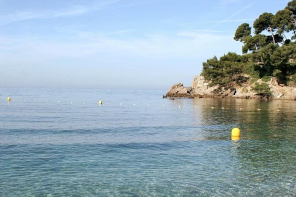 Maison De Charme A 200 Bord De Mer, Terrasse, Jardin- Lesclesdenicole Le Pradet Bagian luar foto